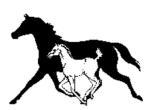 Click here to see the foals page