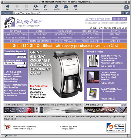 Snappy Home Web Site Design