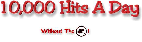 10,000 Hits A Day Without The Bull!