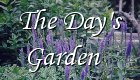 The Day's Garden!