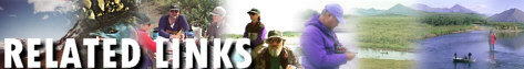 Related Links banner