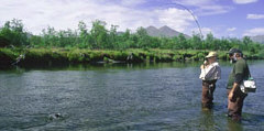 Wading into the Goodnews River...