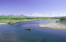 The wild, rustic and full-of-fish
                  Goodnews River.