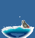 Fish Jumps