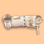 Ivory carving