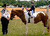 FIRST HORSE SHOW