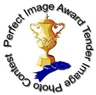 Perfect Image Award