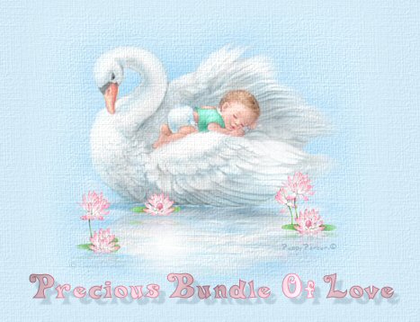Precious Bundle Of Love