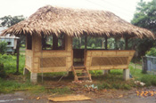 Uncle Emong's nipa hut
