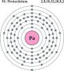 protaccinium