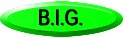 BIGbutton.jpg (3298 bytes)