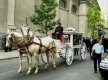 funeral01c.jpg (4339 bytes)