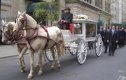 funeral02c.jpg (4311 bytes)