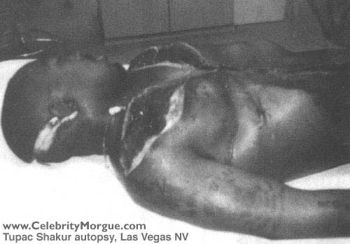 tupac-shakur.jpg (25100 bytes)