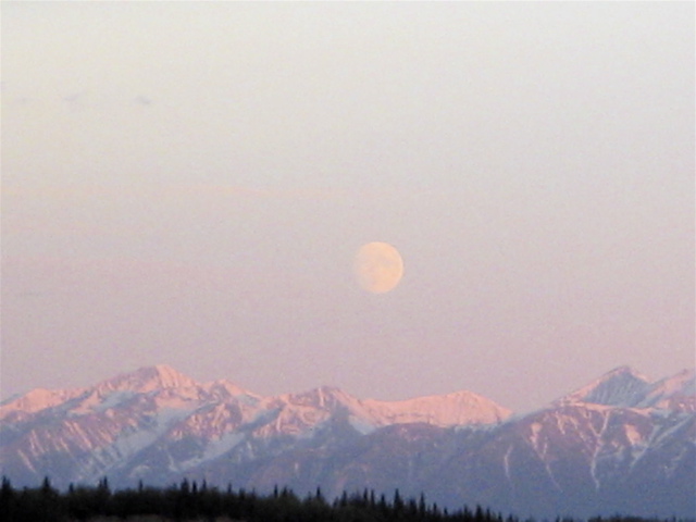 IMG_6637.JPG