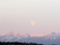 IMG_6637.JPG
