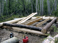 IMG_6649.JPG