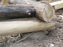 IMG_6652.JPG