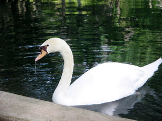 IMG_6420.JPG