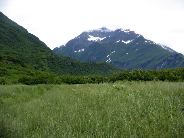 IMG_6708.JPG
