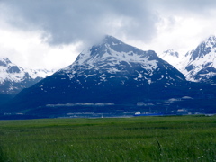 IMG_6706.JPG