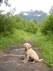 IMG_6711.JPG