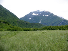 IMG_6708.JPG