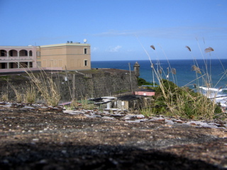 IMG_5860.JPG