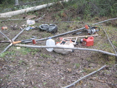 IMG_3551.JPG