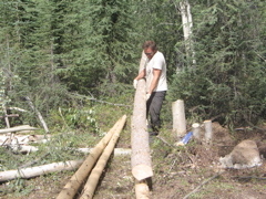 IMG_3560.JPG