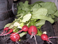 IMG_6947.JPG