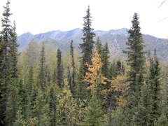 IMG_6961.JPG