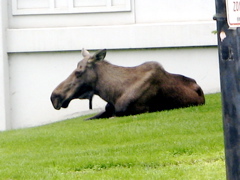 IMG_6914.JPG