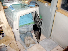 IMG_6930.JPG