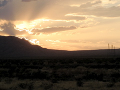IMG_1423.JPG