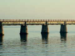 IMG_2358.JPG