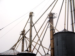 IMG_2465.JPG