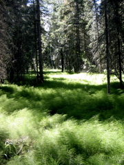 IMG_6754.JPG