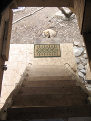 IMG_6823.JPG
