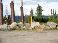IMG_6737.JPG