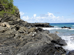 IMG_5330.JPG