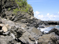 IMG_5329.JPG