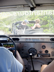 IMG_5337.JPG