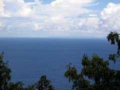 IMG_5352.JPG