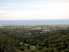 IMG_5354.JPG