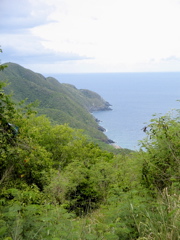 IMG_5357.JPG