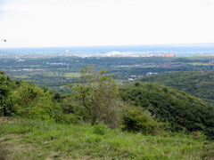 IMG_5353.JPG