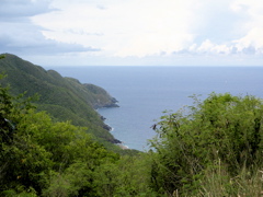 IMG_5358.JPG