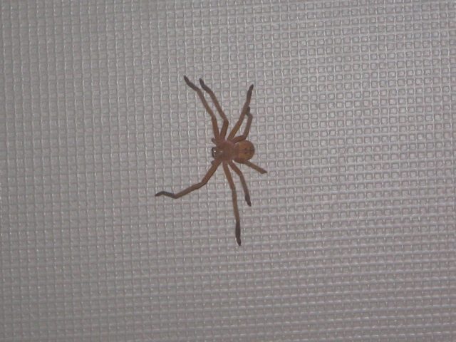 IMG_6028.JPG