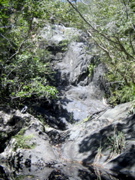 IMG_6059.JPG